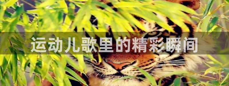 oety欧亿