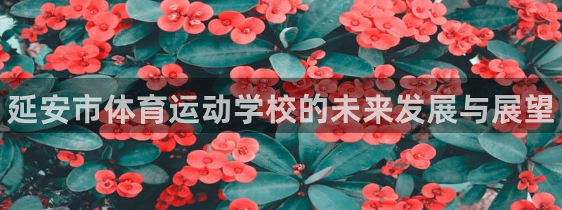 oety欧亿