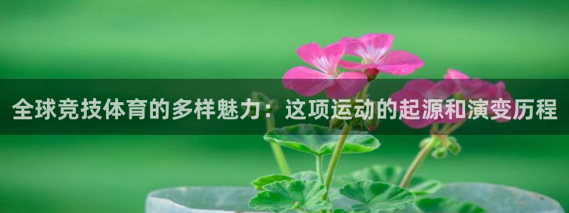 oety欧亿