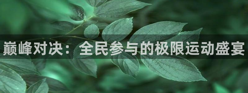 oety欧亿