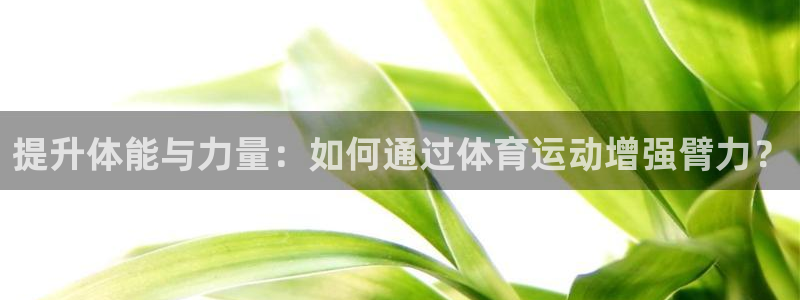oety欧亿